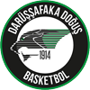 Darussafaka Dogus Istanbul