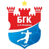 HC Meshkov Brest